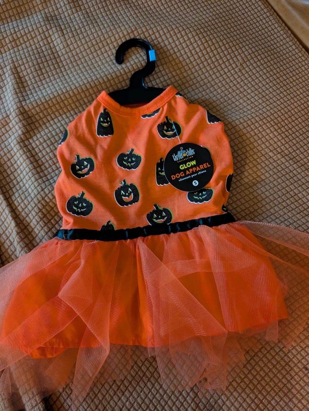 NWT Orange Halloween Pumpkin Tulle Dog Costume